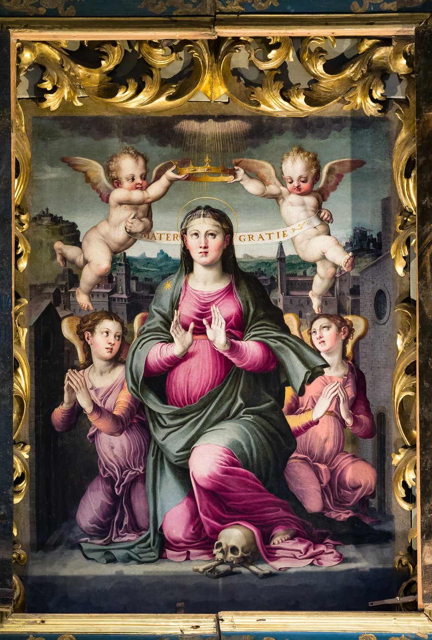 Madonna delle Grazie da Raffaello dal Colle