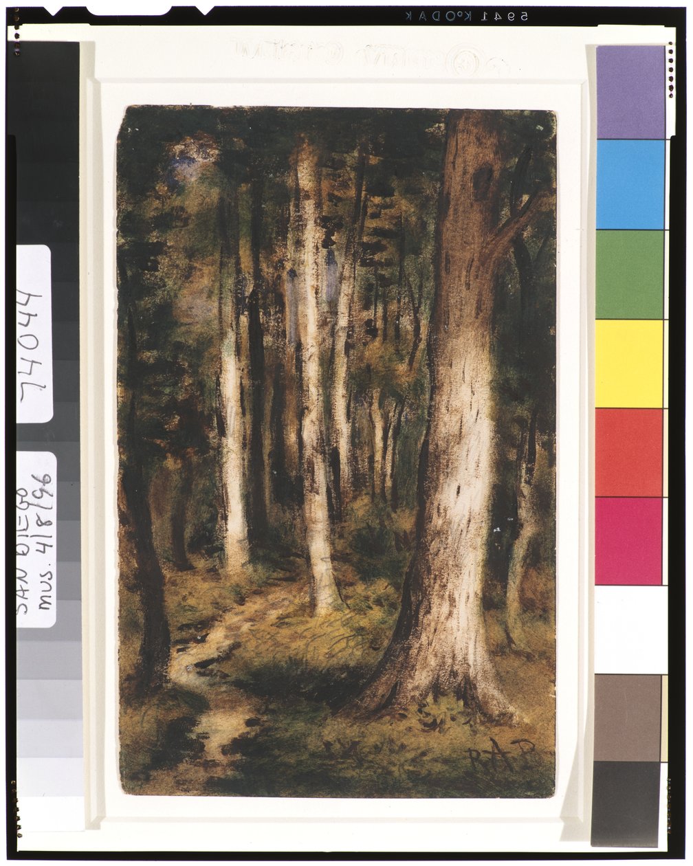 Scena di foresta, 1901-15 da Ralph Albert Blakelock