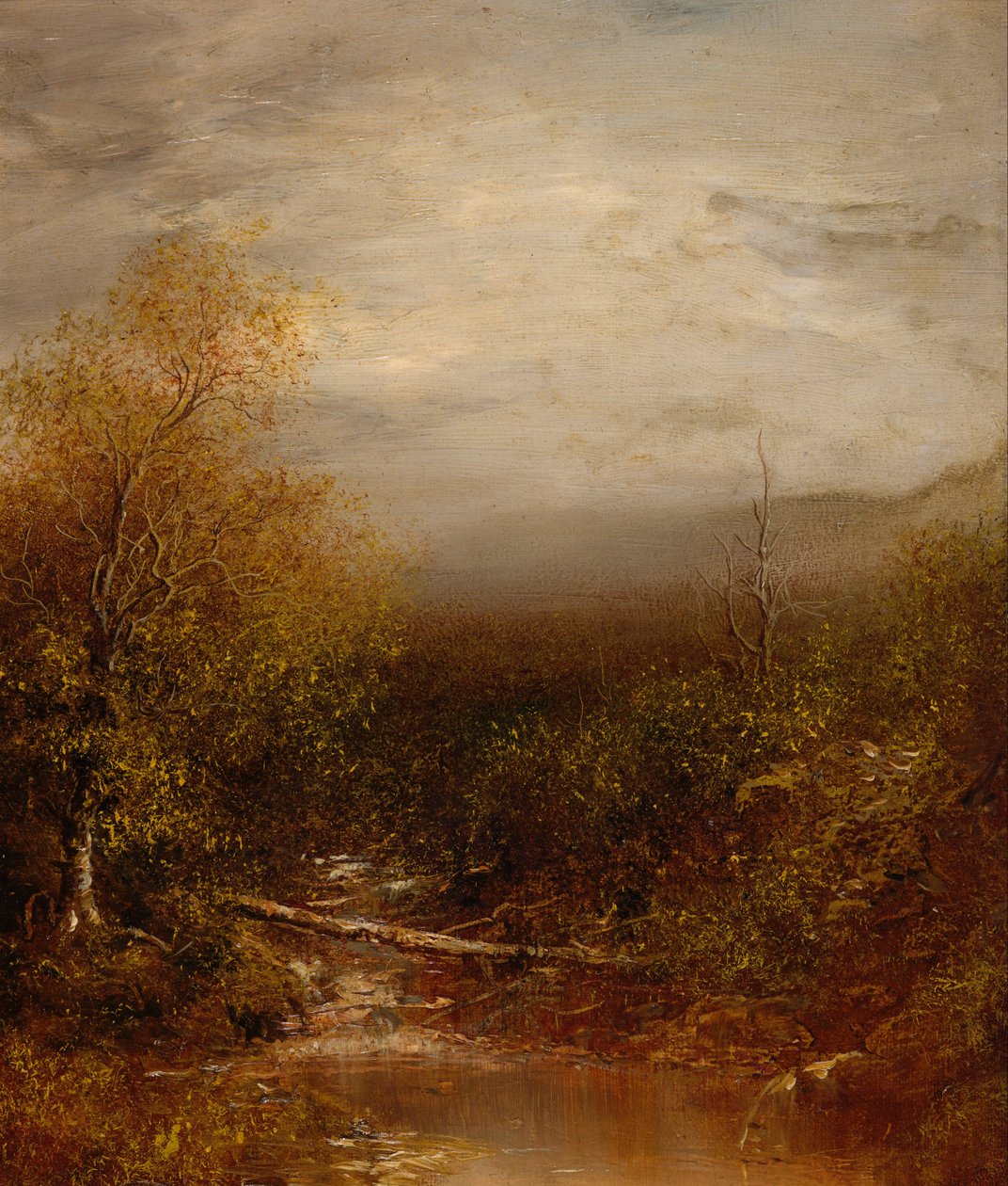 Piscina negli Adirondacks da Ralph Albert Blakelock