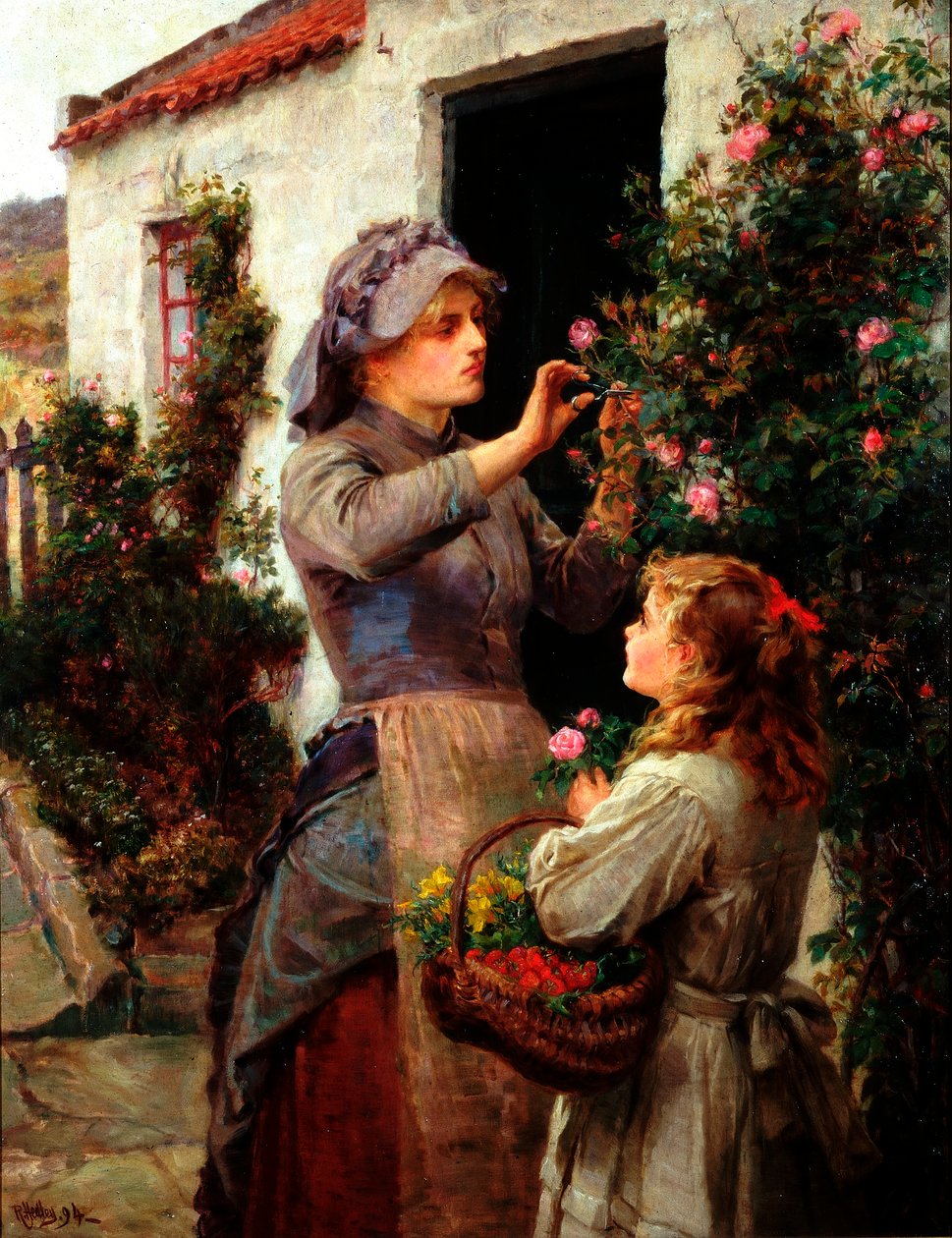 Rose per l