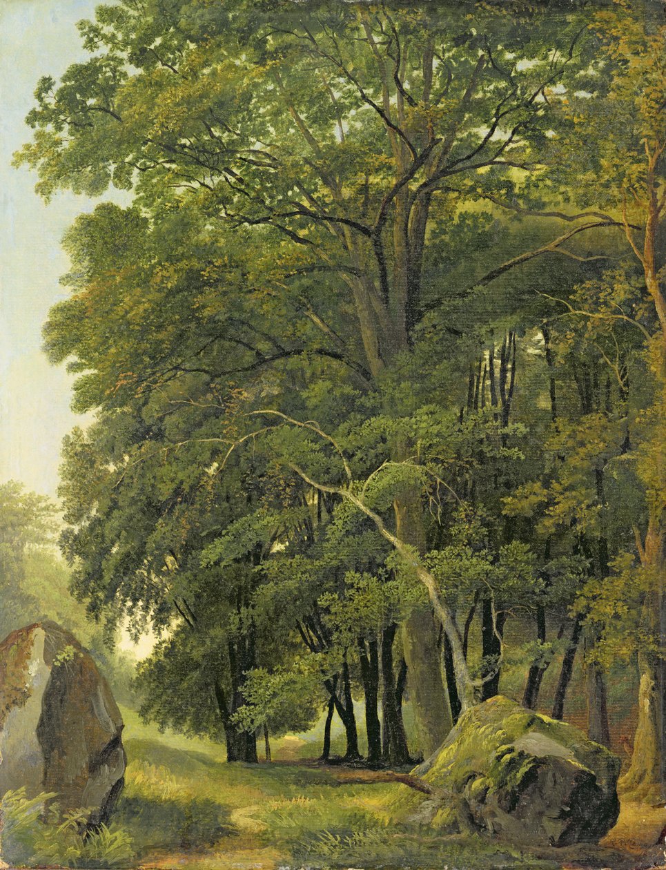 Paesaggio boscoso da Ramsay Richard Reinagle