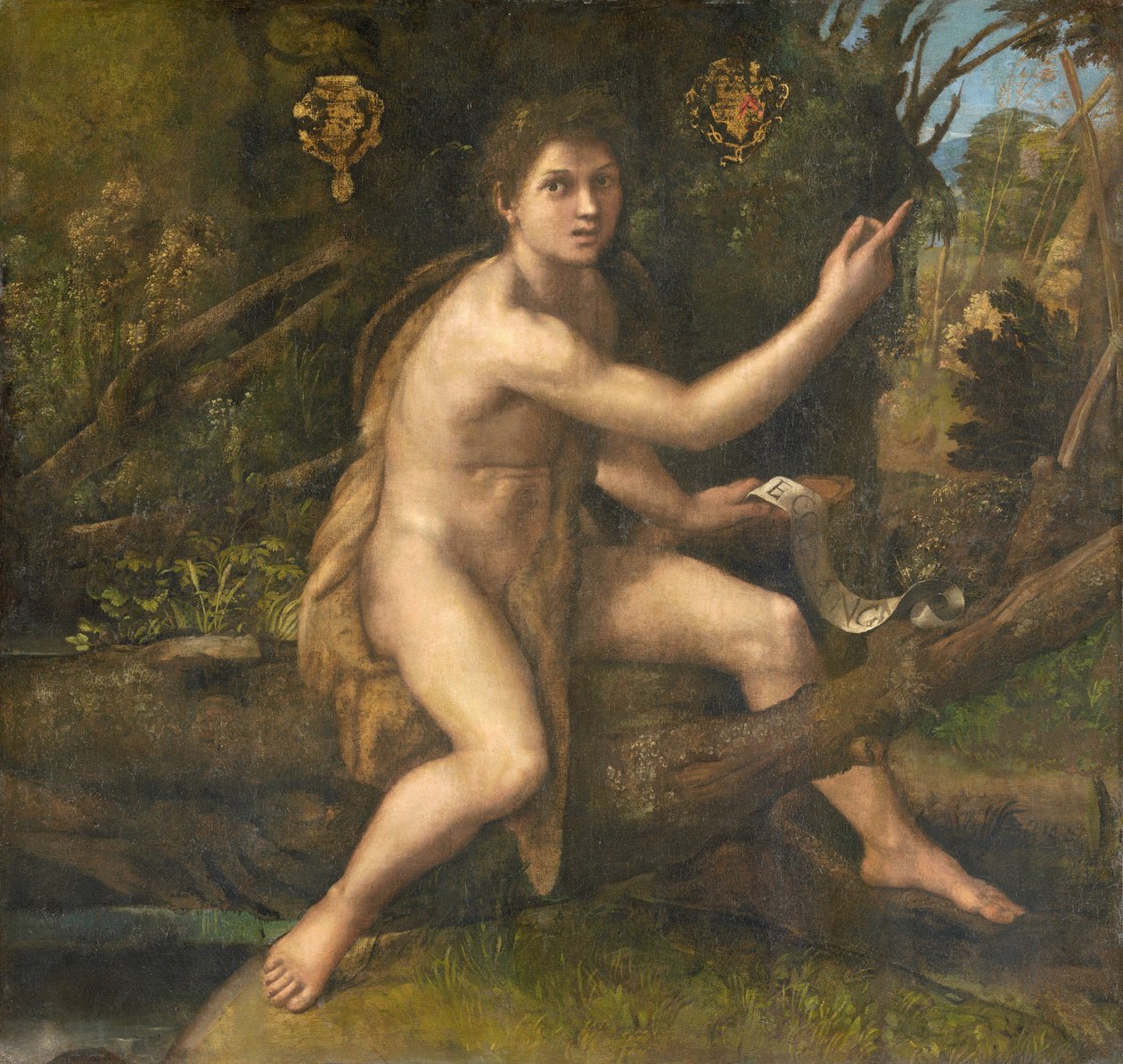Forse dipinto nel 1516 per Adrien Gouffier da Raffaello Sanzio Raphael