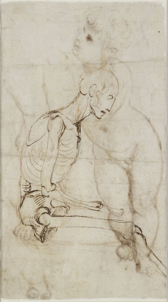 Studio di uno scheletro da Raffaello Sanzio Raphael