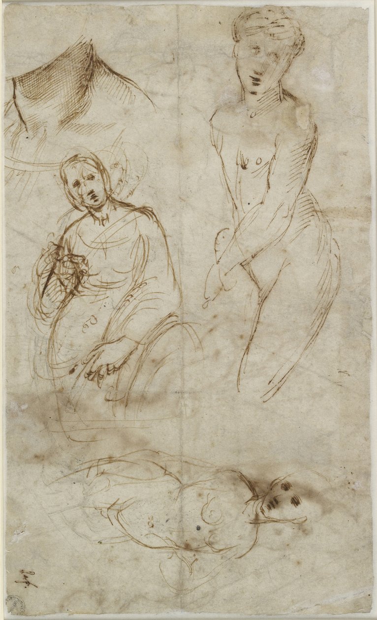 Vari studi da Raffaello Sanzio Raphael
