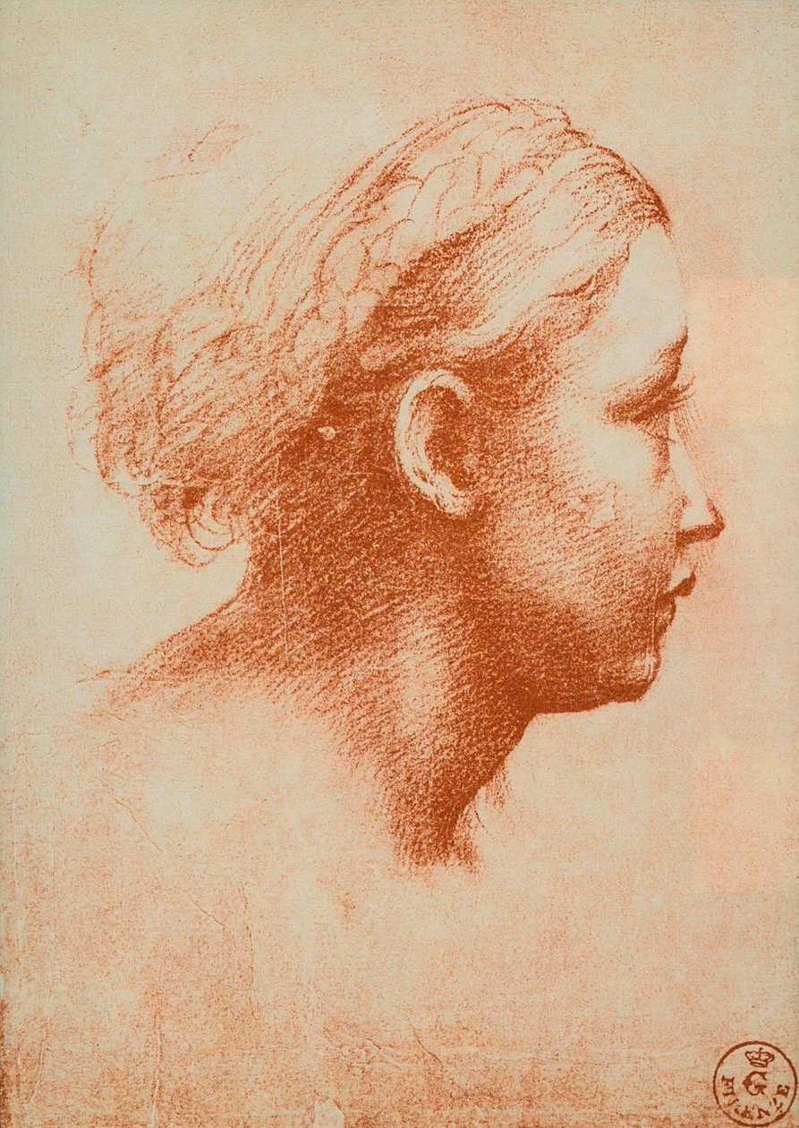 Testa femminile di profilo da Raffaello Sanzio Raphael