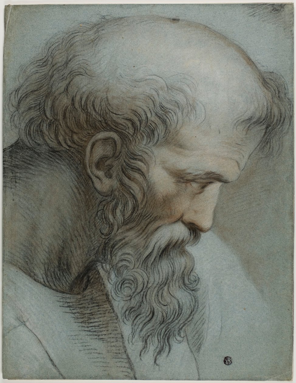 Testa di Pitagora da Raphael