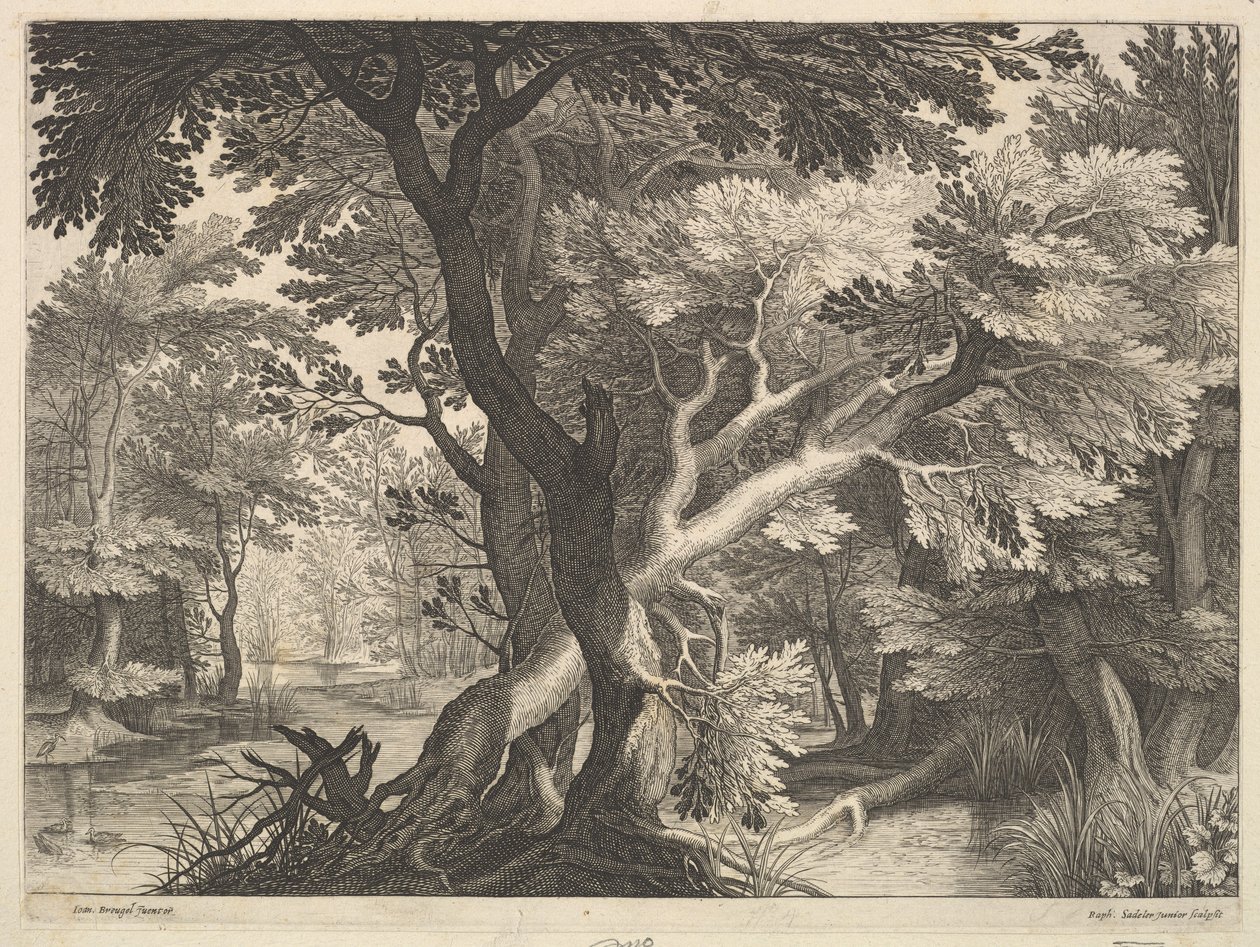 Paesaggio boscoso da Raphael Sadeler