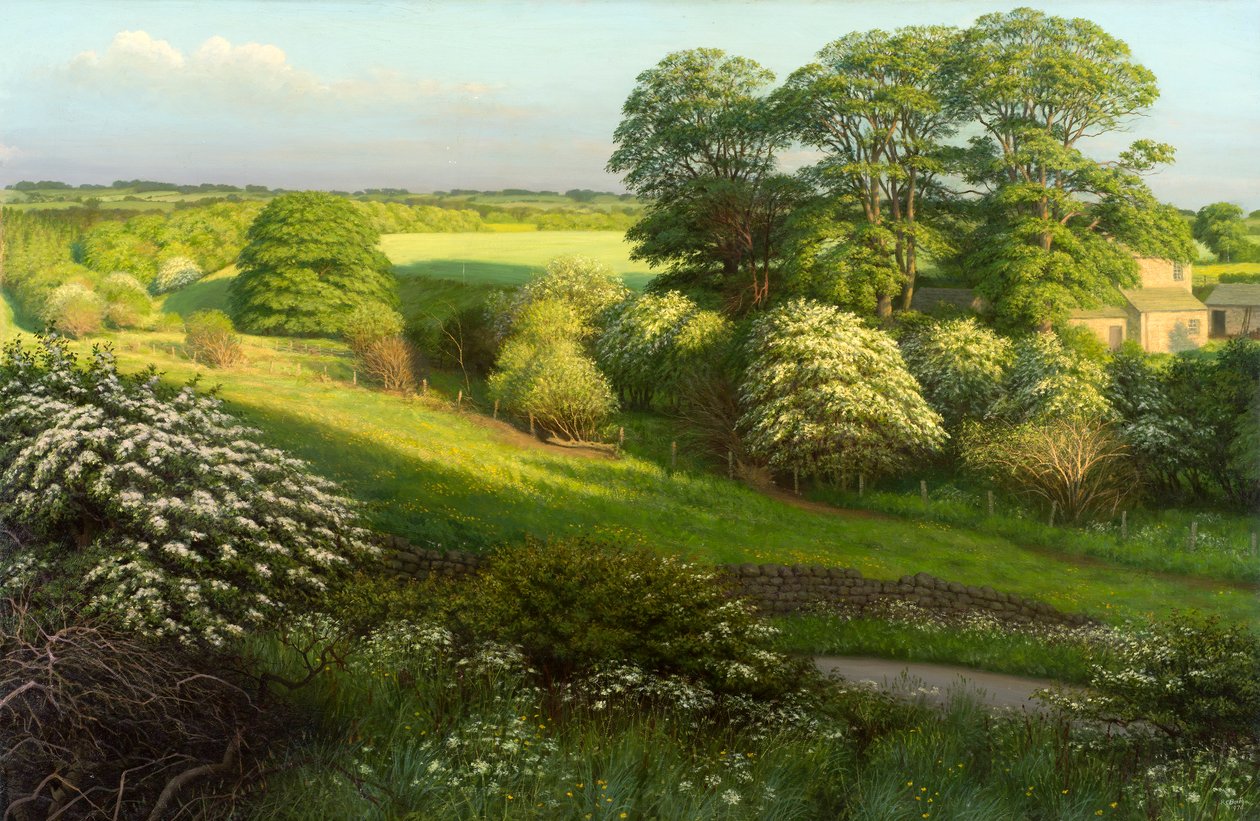 Paesaggio da Raymond Booth