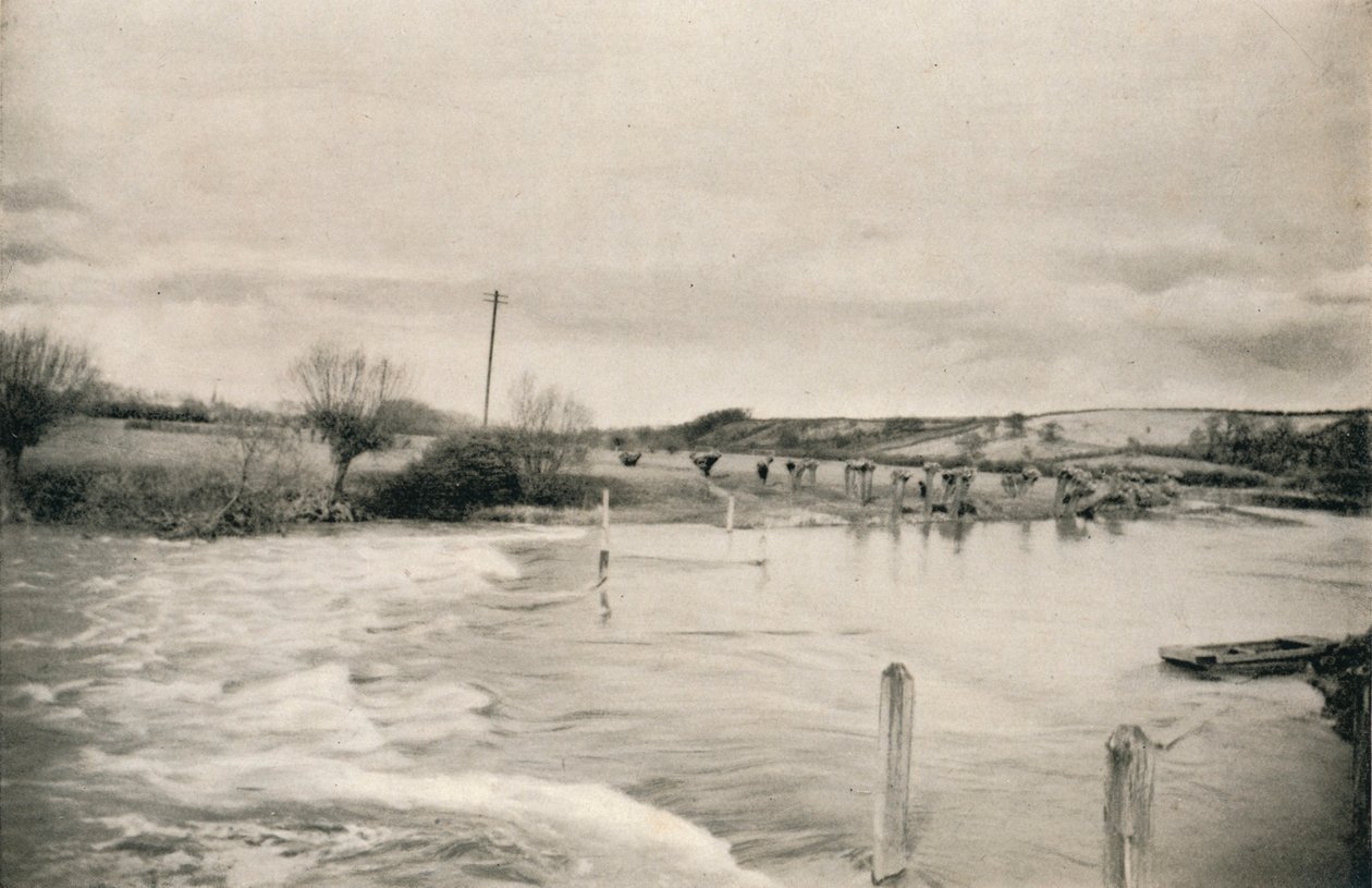 Il fiume Avon, c1927 da Reginald Belfield