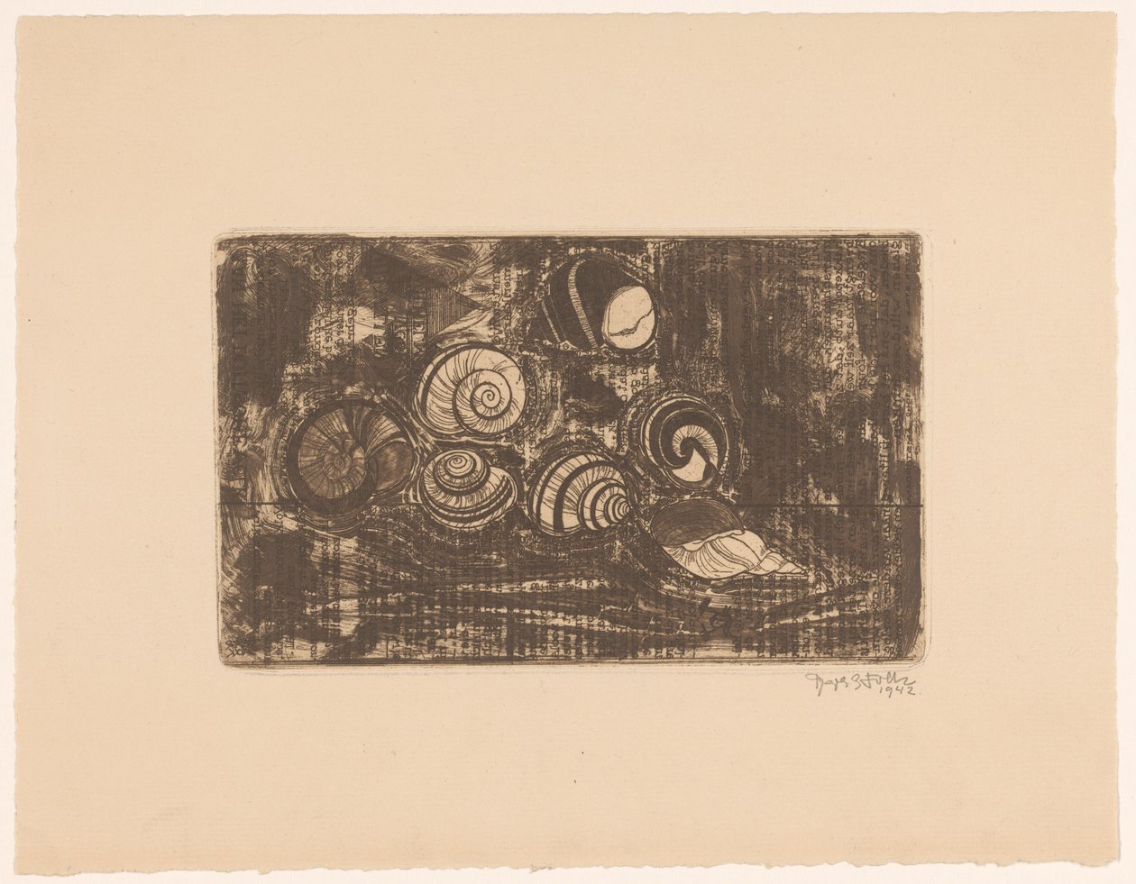 Sette conchiglie da Reijer Stolk (signed by artist)