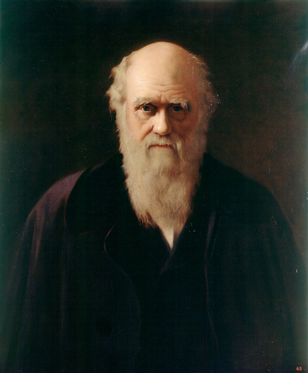 Charles Darwin da Reilly Reilly