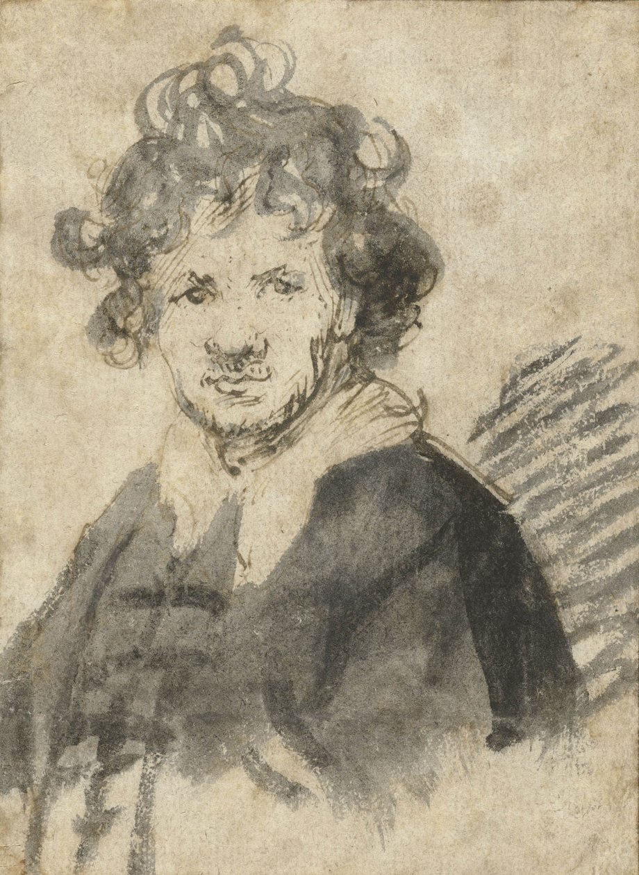 Autoritratto con capelli arruffati, c.1628-29 da Rembrandt van Rijn