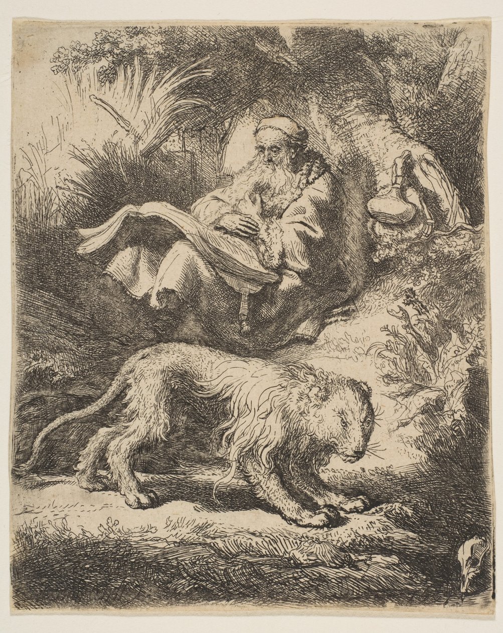 San Girolamo che legge da Rembrandt van Rijn