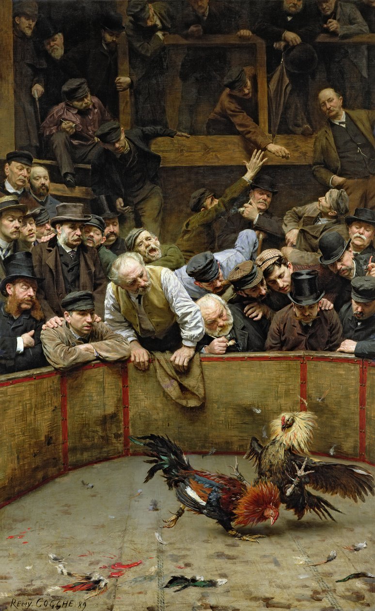 Il combattimento di galli, 1889 da Remy Cogghe