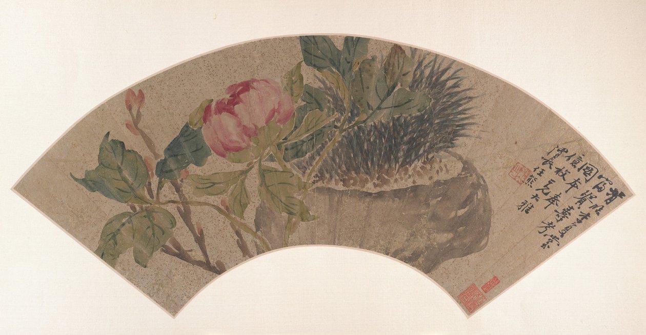 Peonia da Ren Xiong