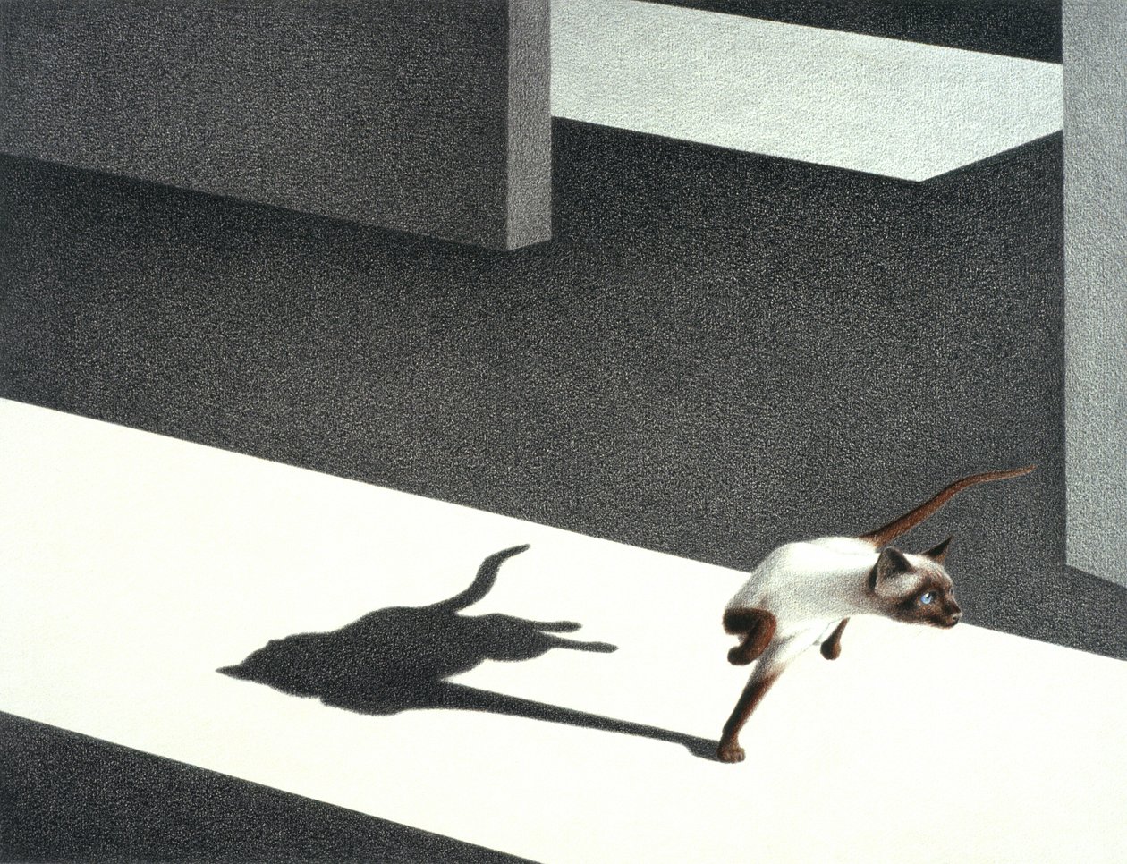 Angolo da Rene Boin
