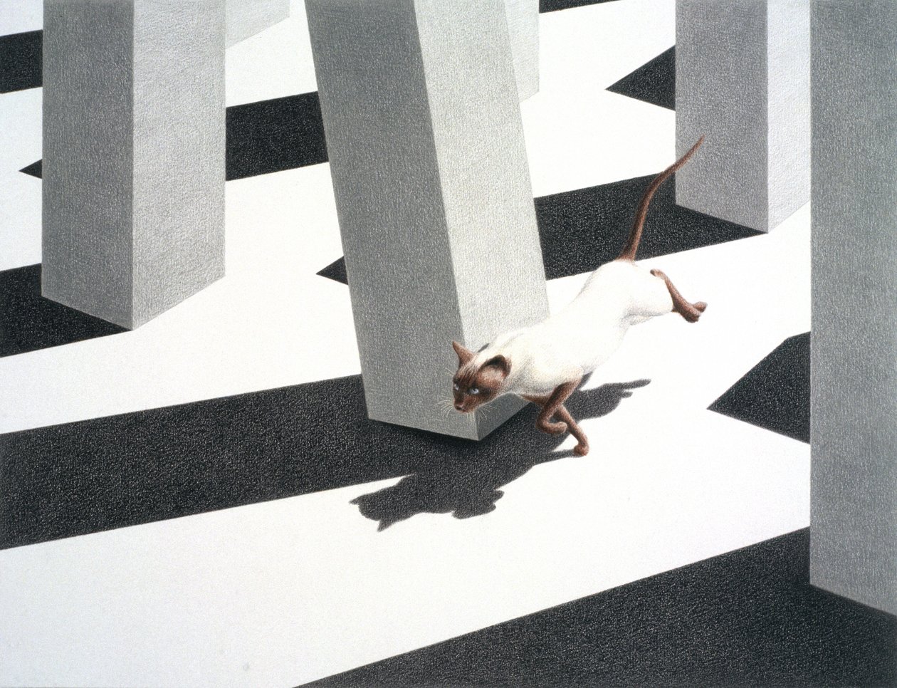 Correre da Rene Boin