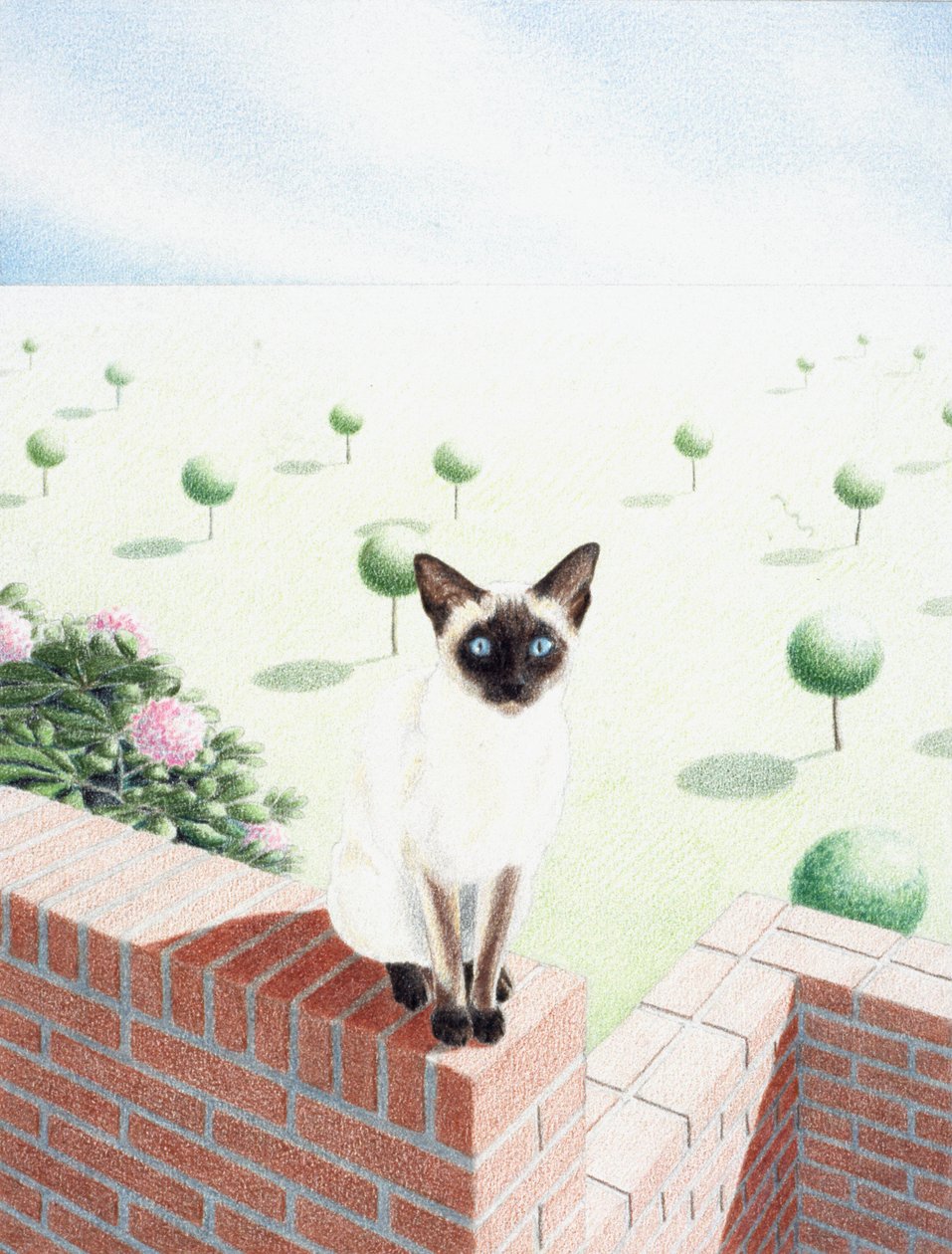Sakè da Rene Boin