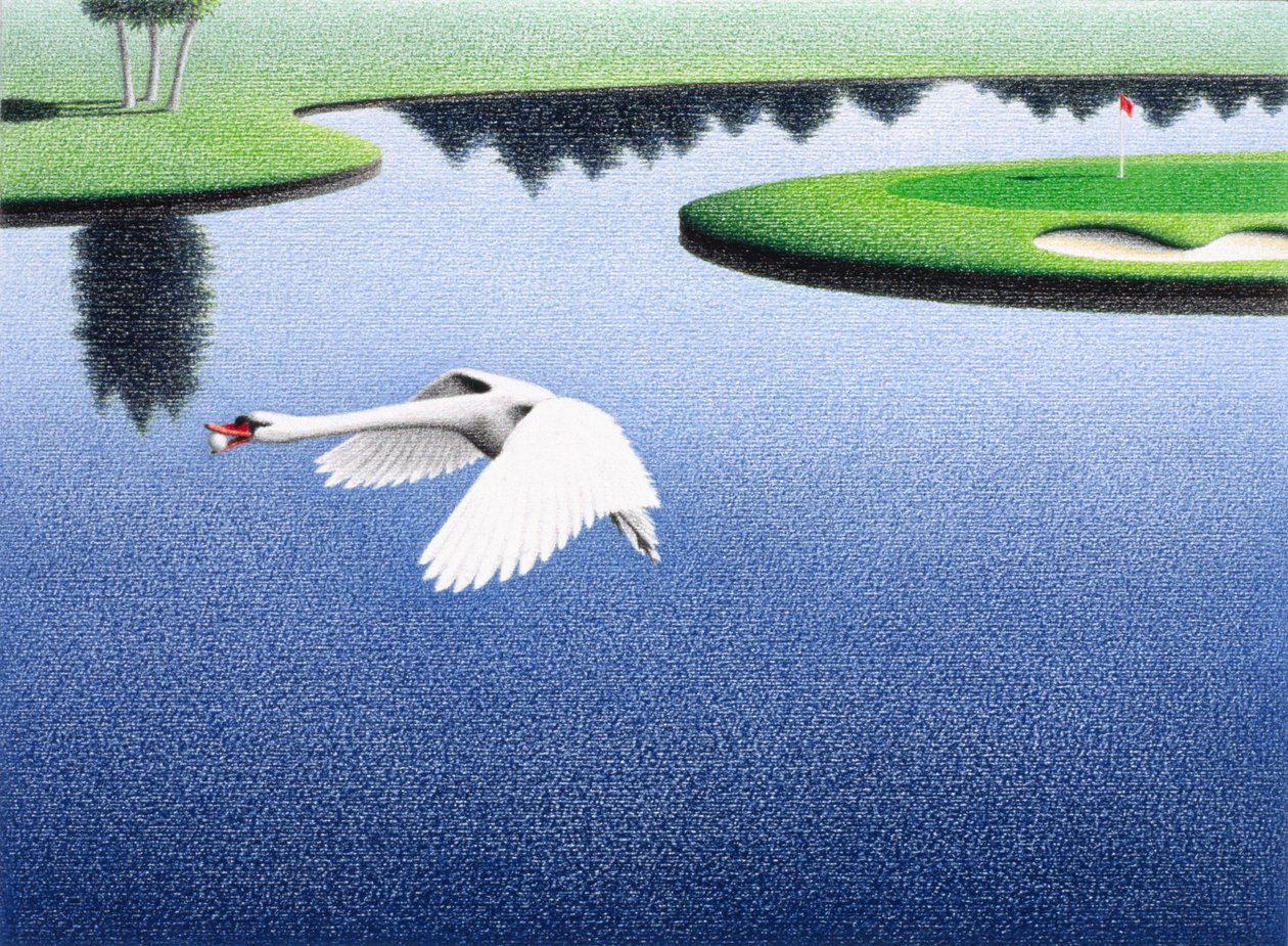 Il lago dei cigni da Rene Boin