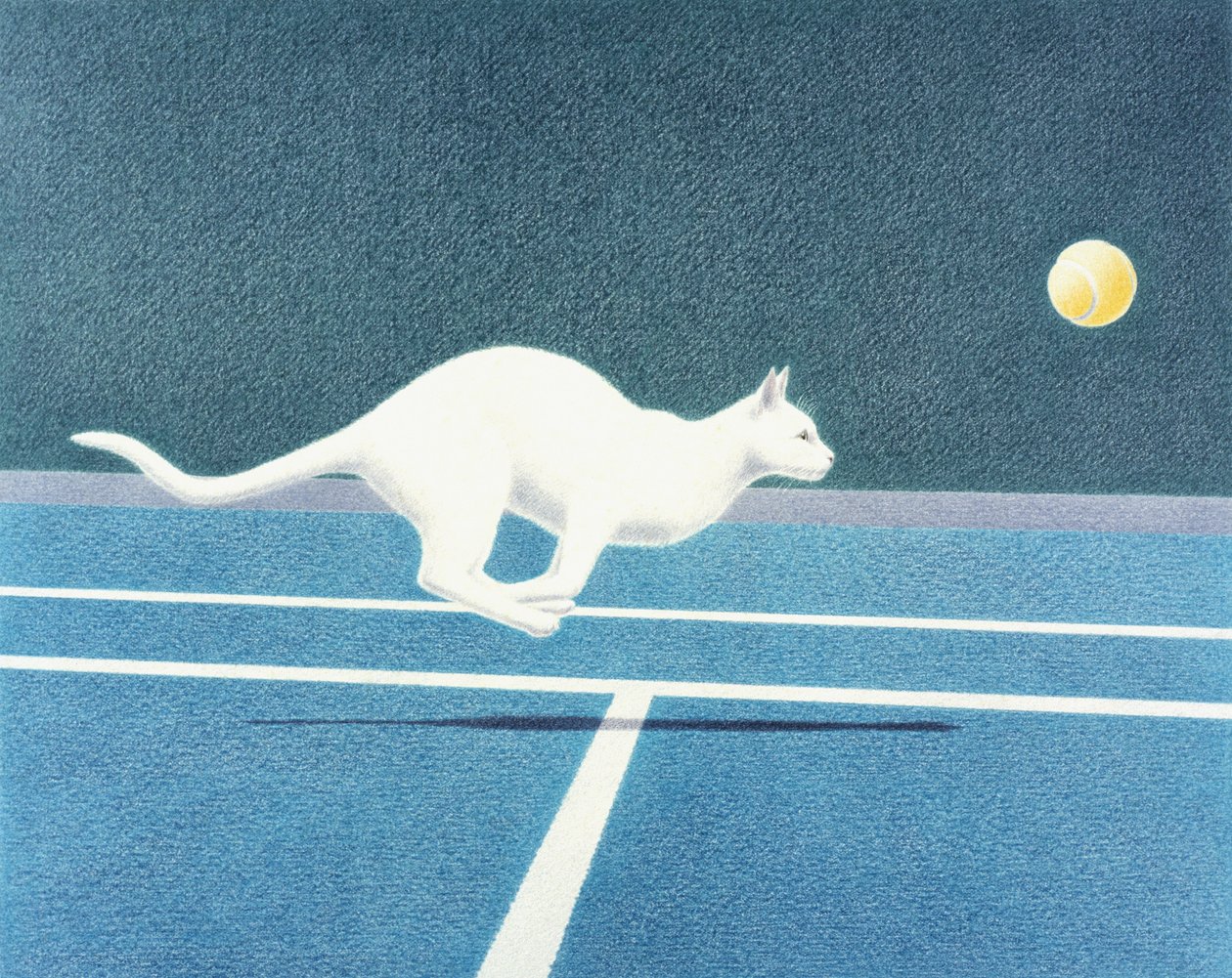 Tennis da Rene Boin