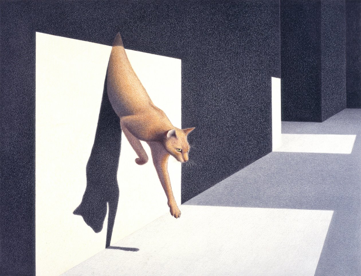 Muro da Rene Boin