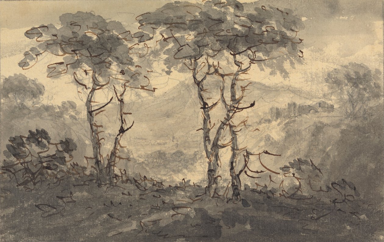 Abeti in un paesaggio montano da Rev. William Gilpin