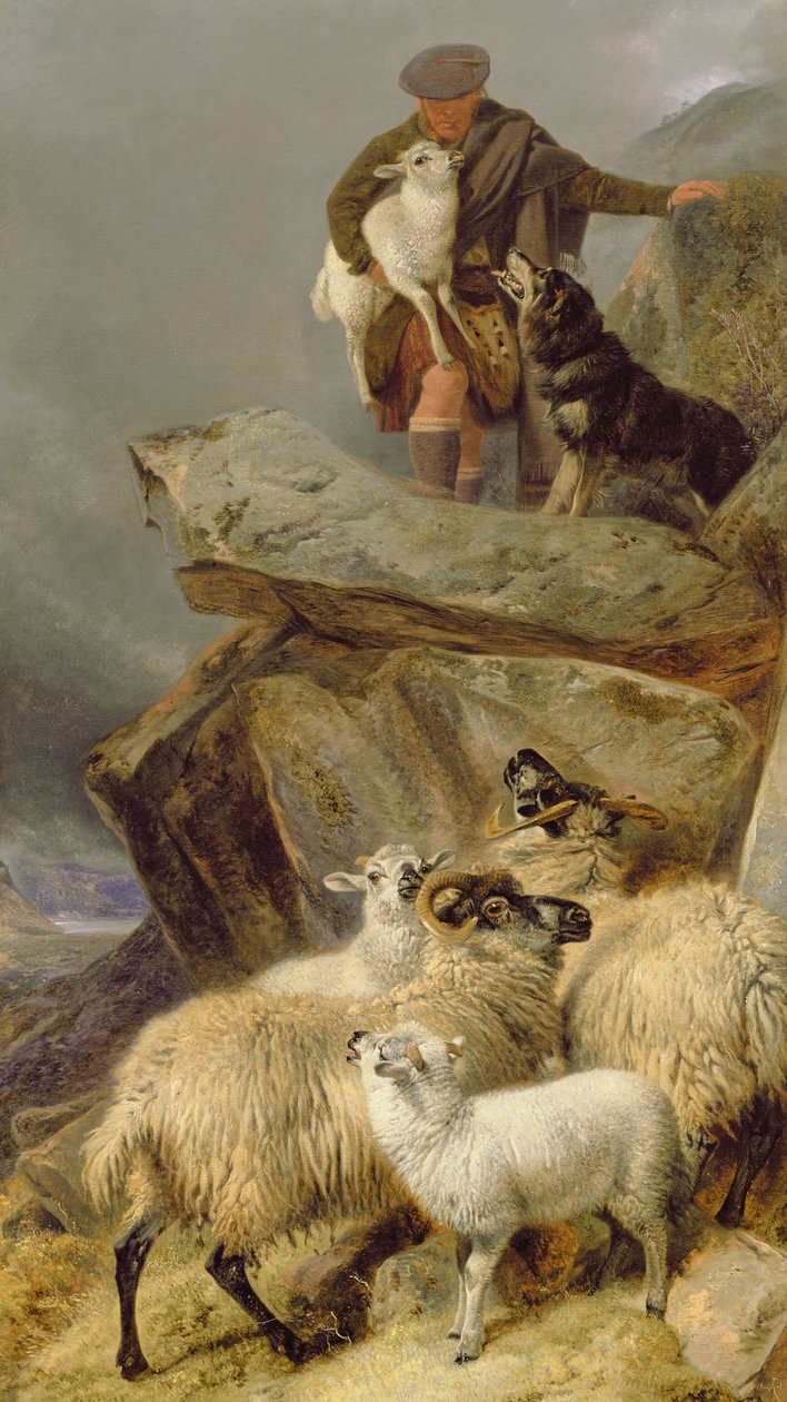 Il salvataggio, 1883 da Richard Ansdell