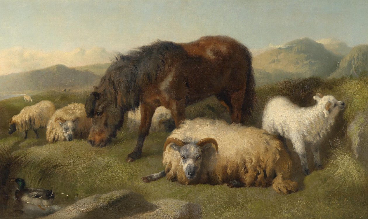 Capre, pecore e un pony da Richard Ansdell