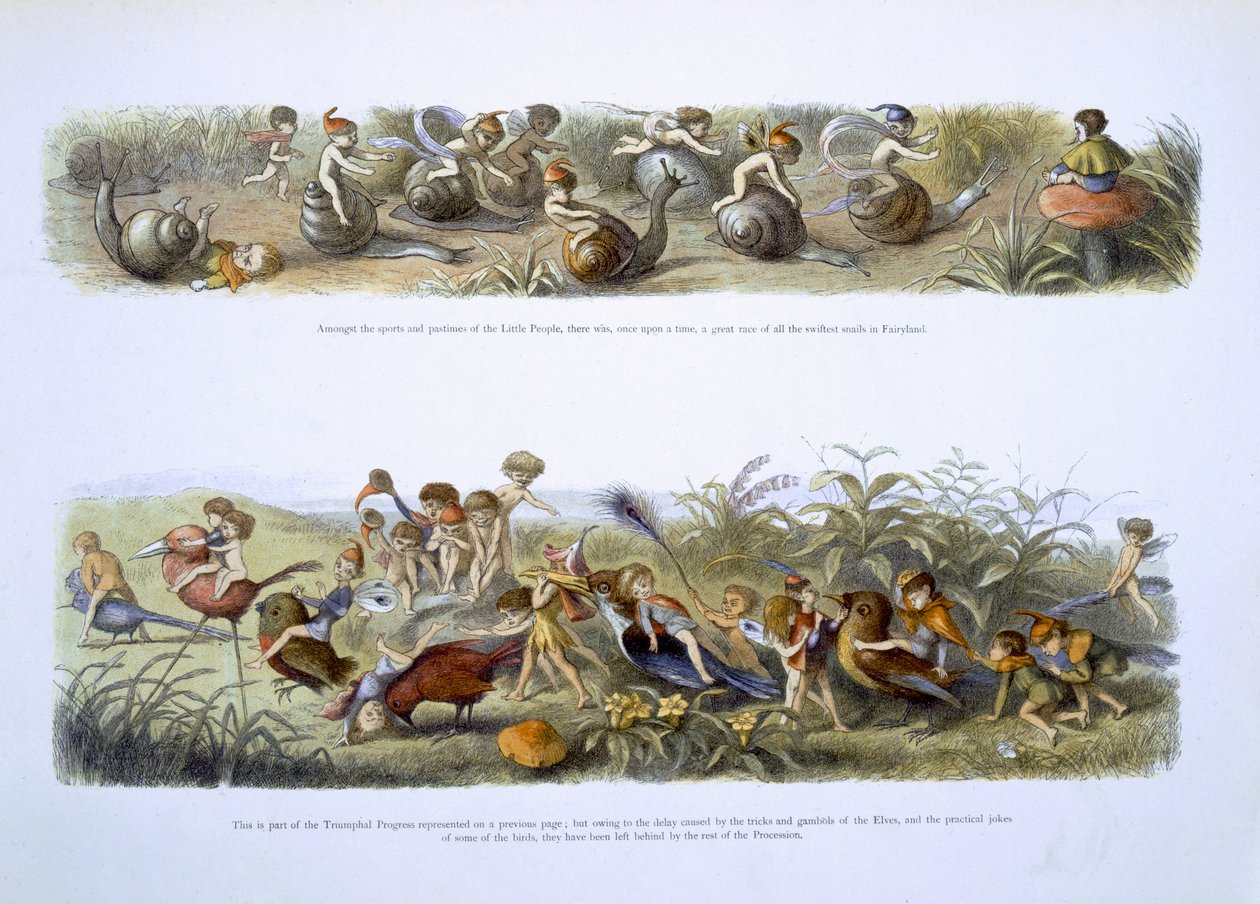Illustrazione per 
