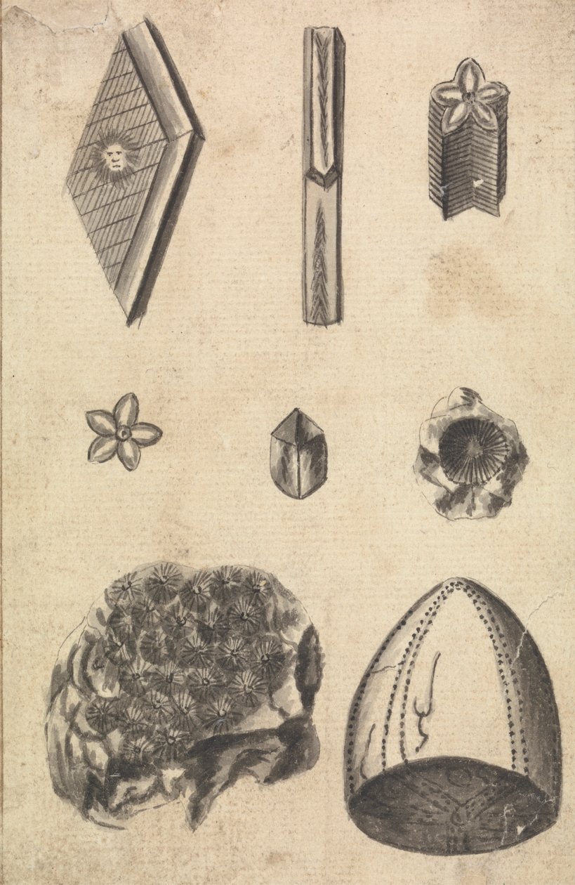Cristalli e fossili da Richard Brookes