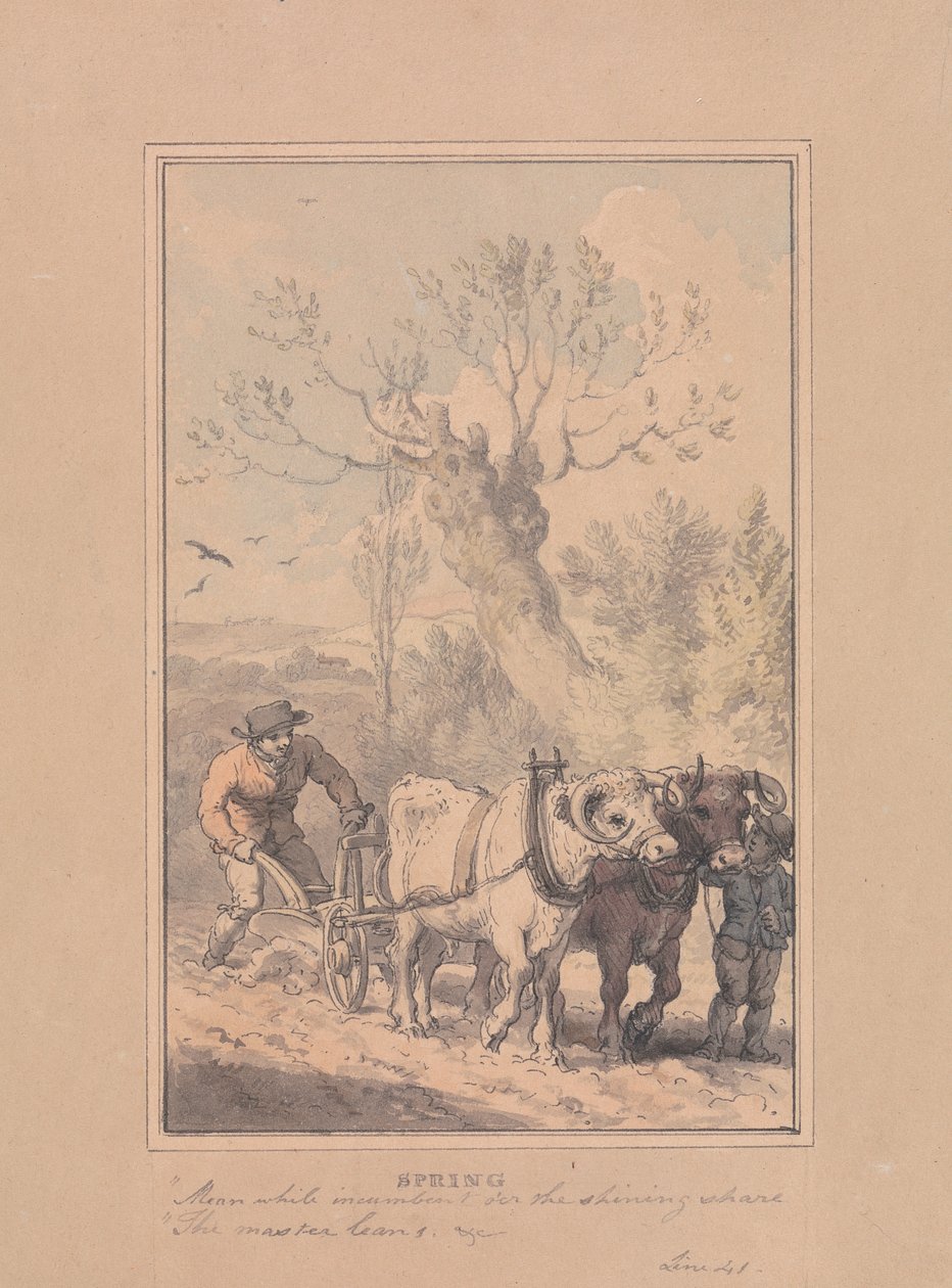 Primavera da Richard Corbould