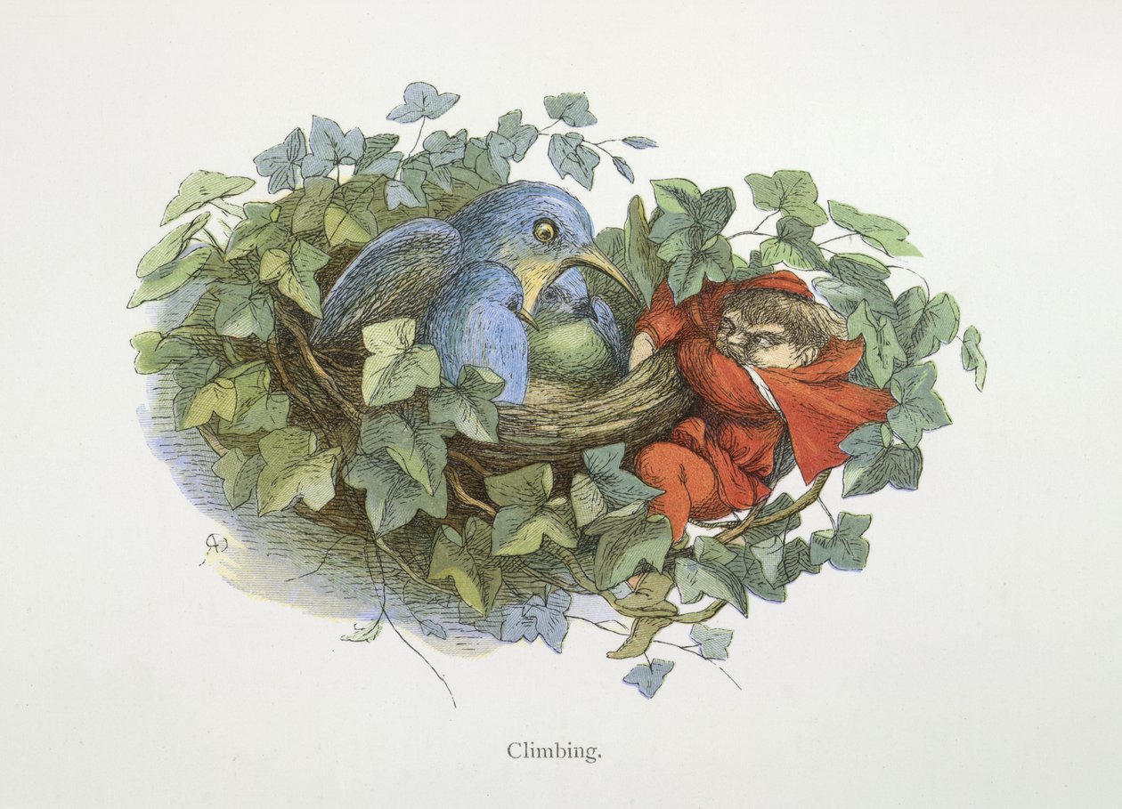 Arrampicata da Richard Doyle