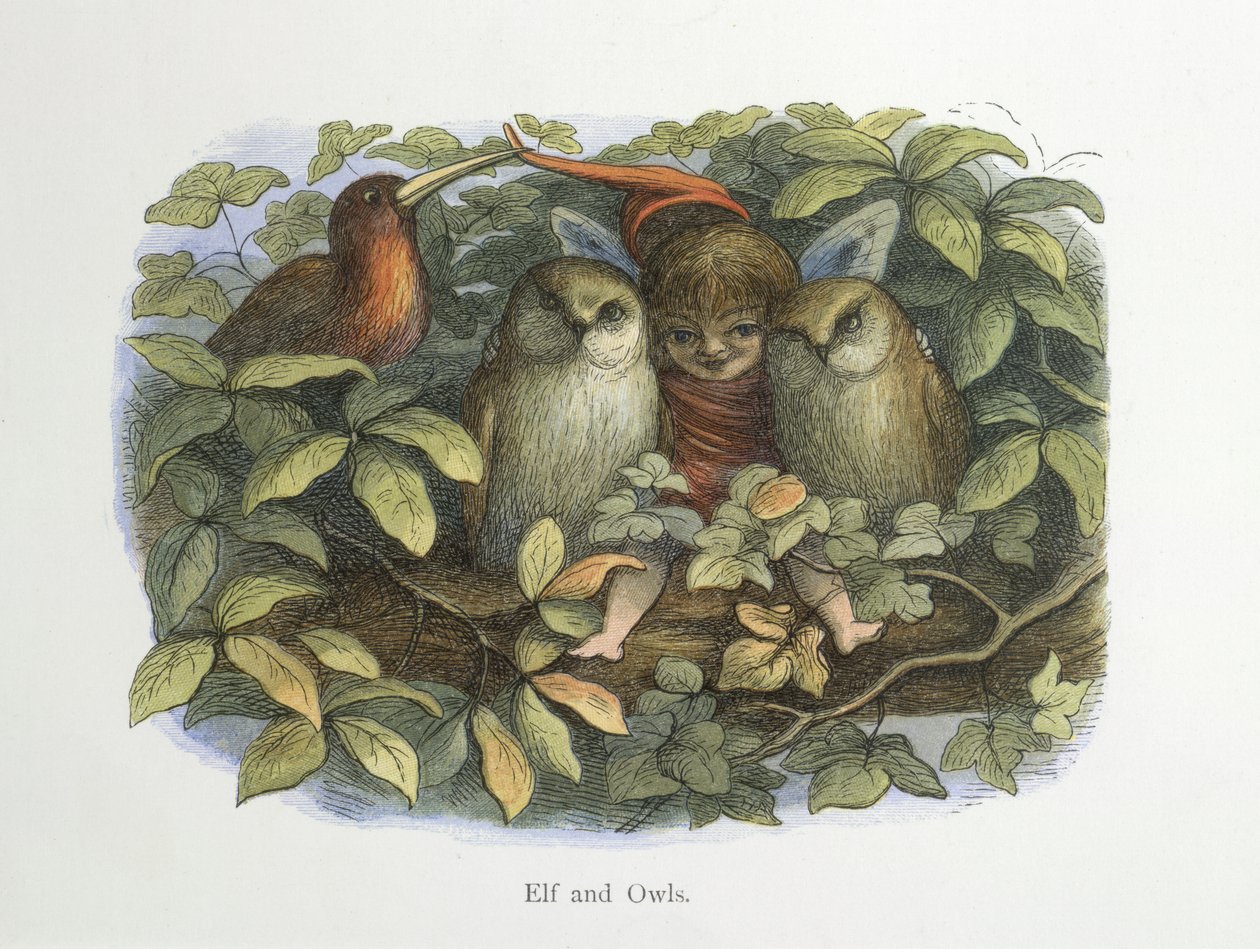 Elfo e gufi da Richard Doyle