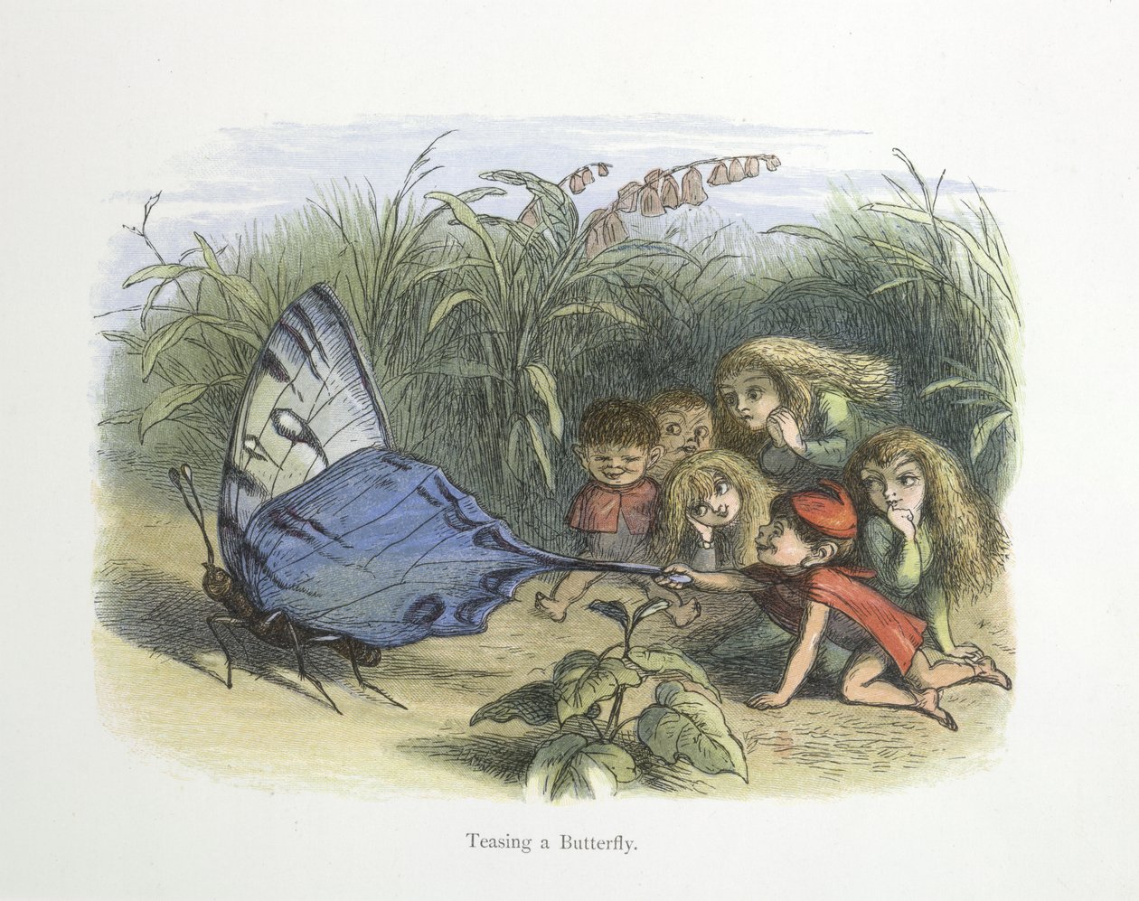 Stuzzicare una farfalla da Richard Doyle