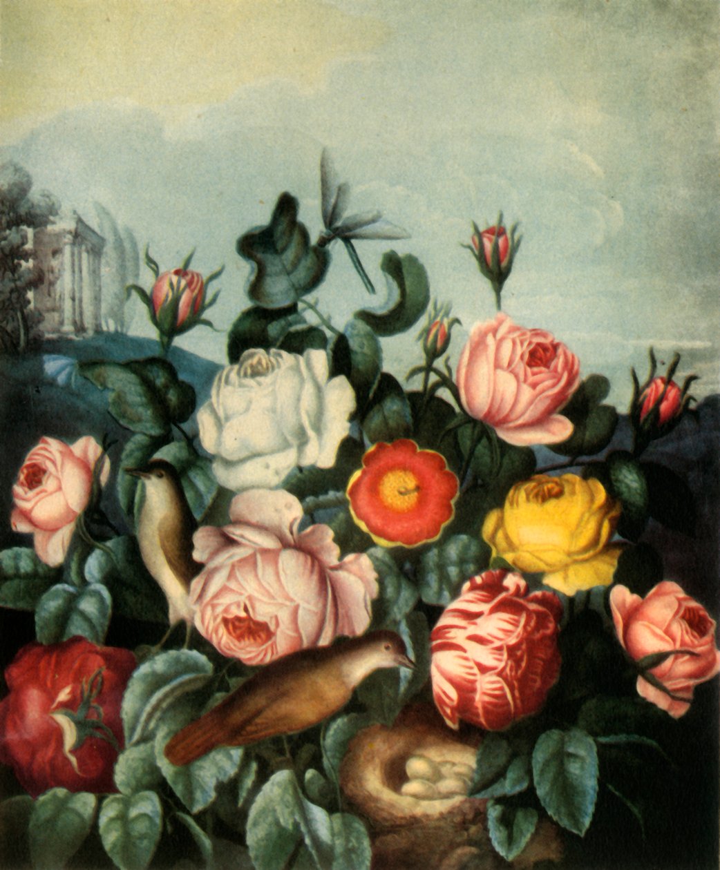 Rose, 1799 da Richard Earlom