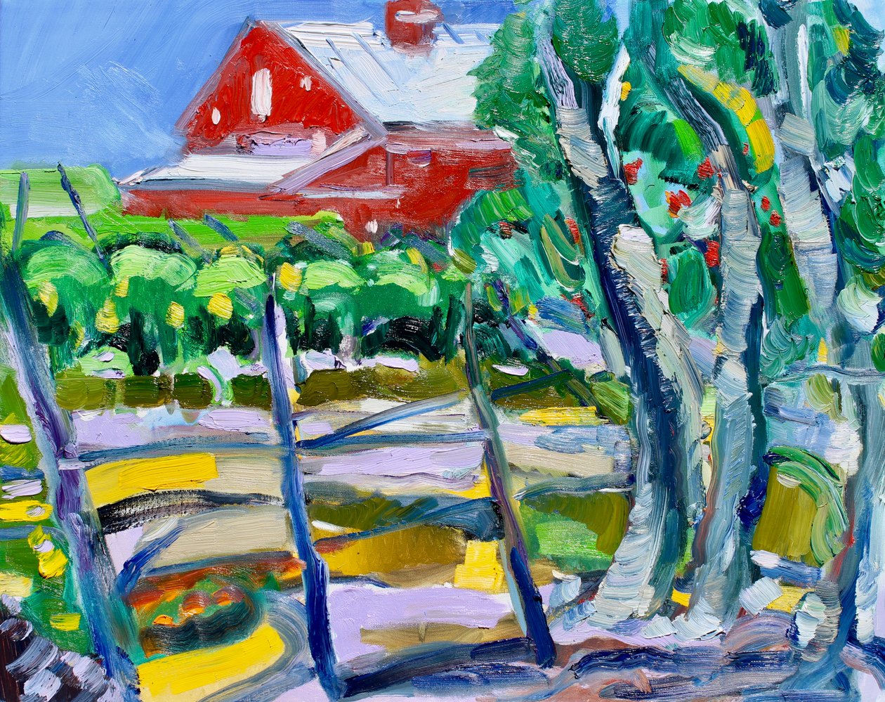 Eucalipto e Vigneto, Napa da Richard Fox