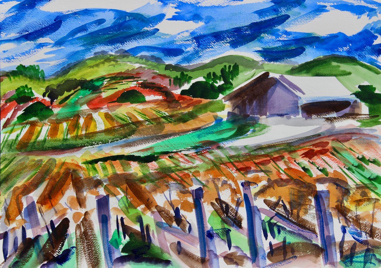 Napa in autunno da Richard Fox
