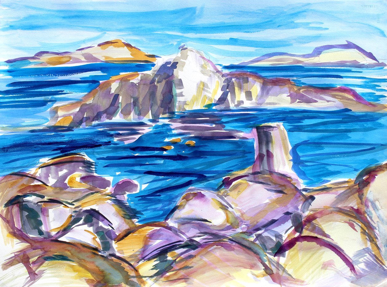 Rocce e Riflessi, 2019 da Richard Fox