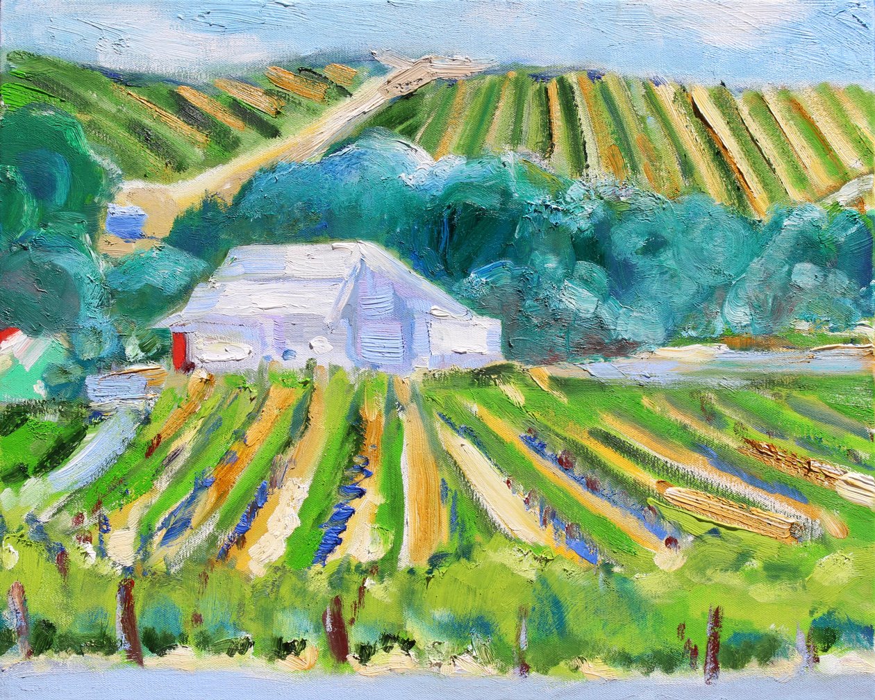 Fienile bianco e vigneto, Napa, 2019 da Richard Fox