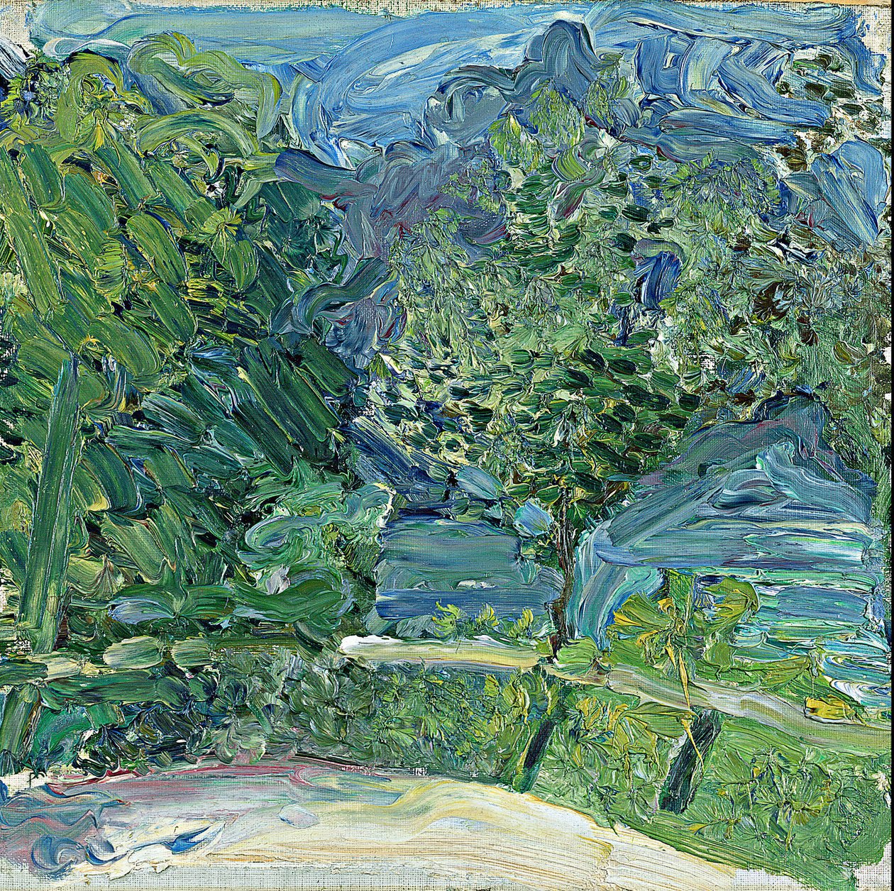 Strada sul lago vicino a Gmunden da Richard Gerstl