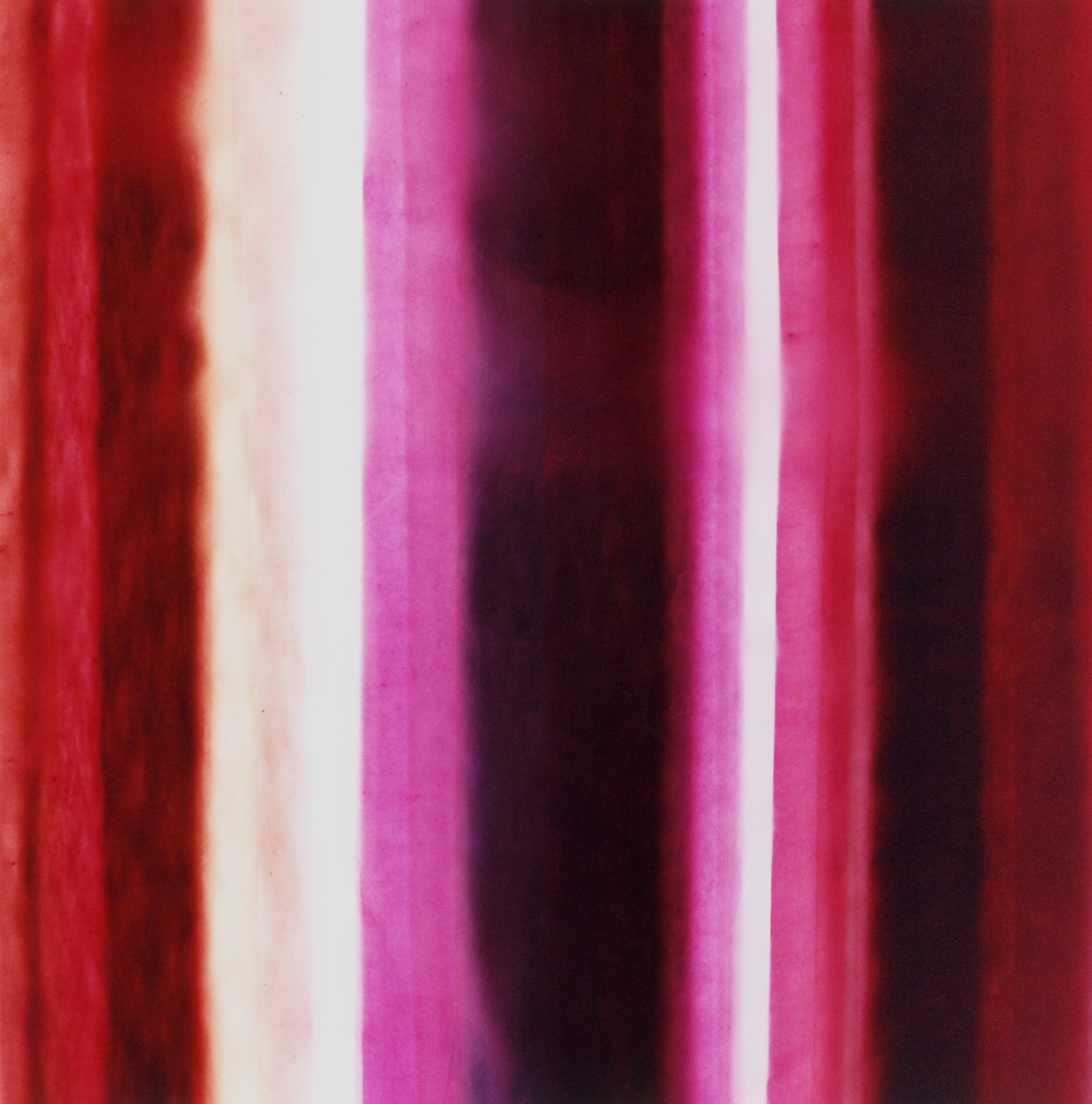 Striscia XIII, 2005 da Richard Green