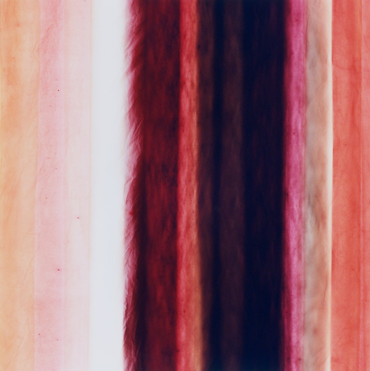 Striscia X, 2005 da Richard Green