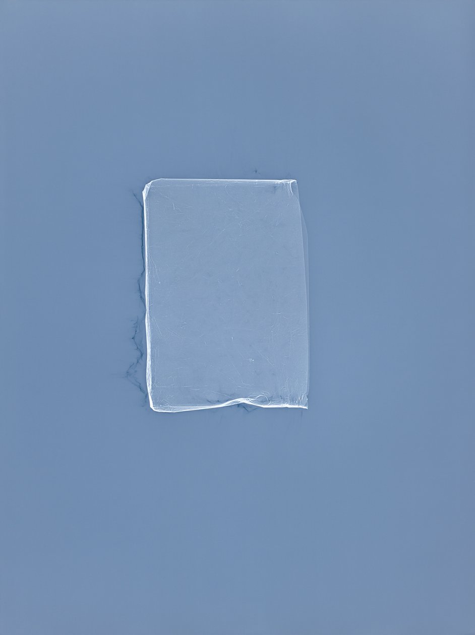 Senza titolo, 2001 da Richard Green