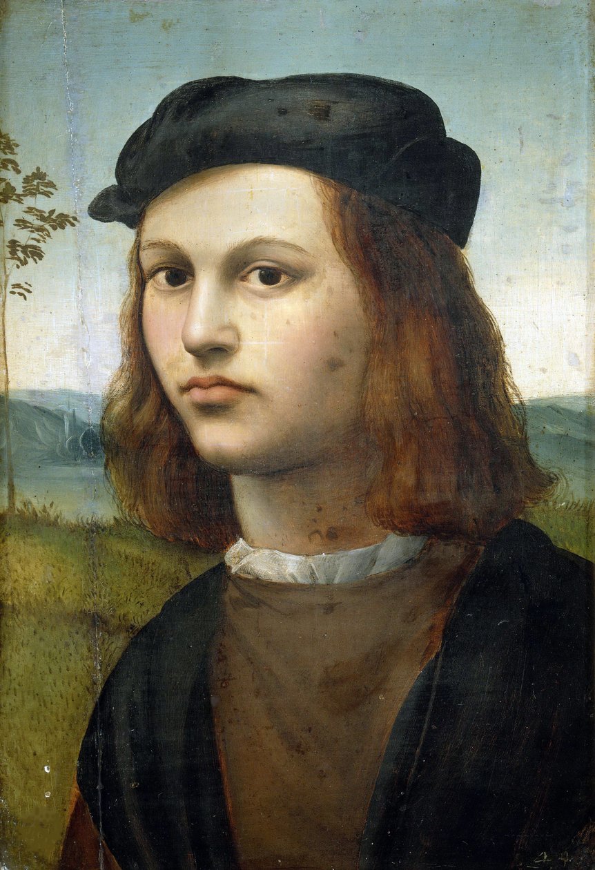 Ritratto di un ragazzo, ca 1510-1520 da Ridolfo Ghirlandaio