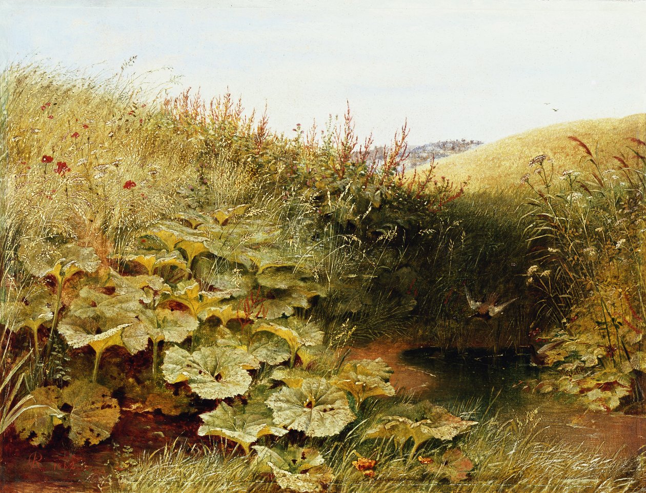 Una valle tranquilla da Robert Collinson
