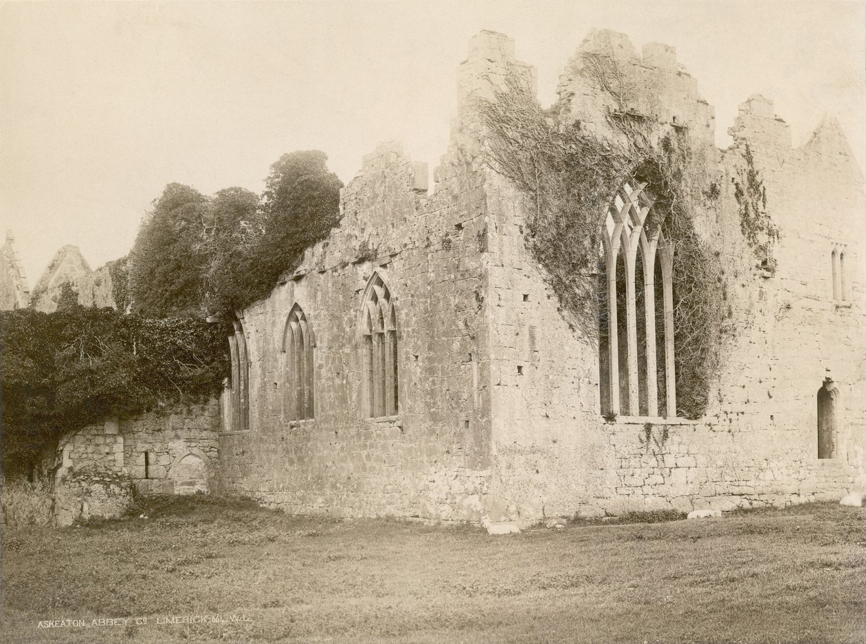 Abbazia di Askeaton da Robert French