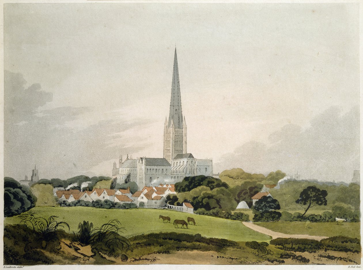 Cattedrale di Norwich, 1802, inciso da Edward Bell da Robert Ladbrooke