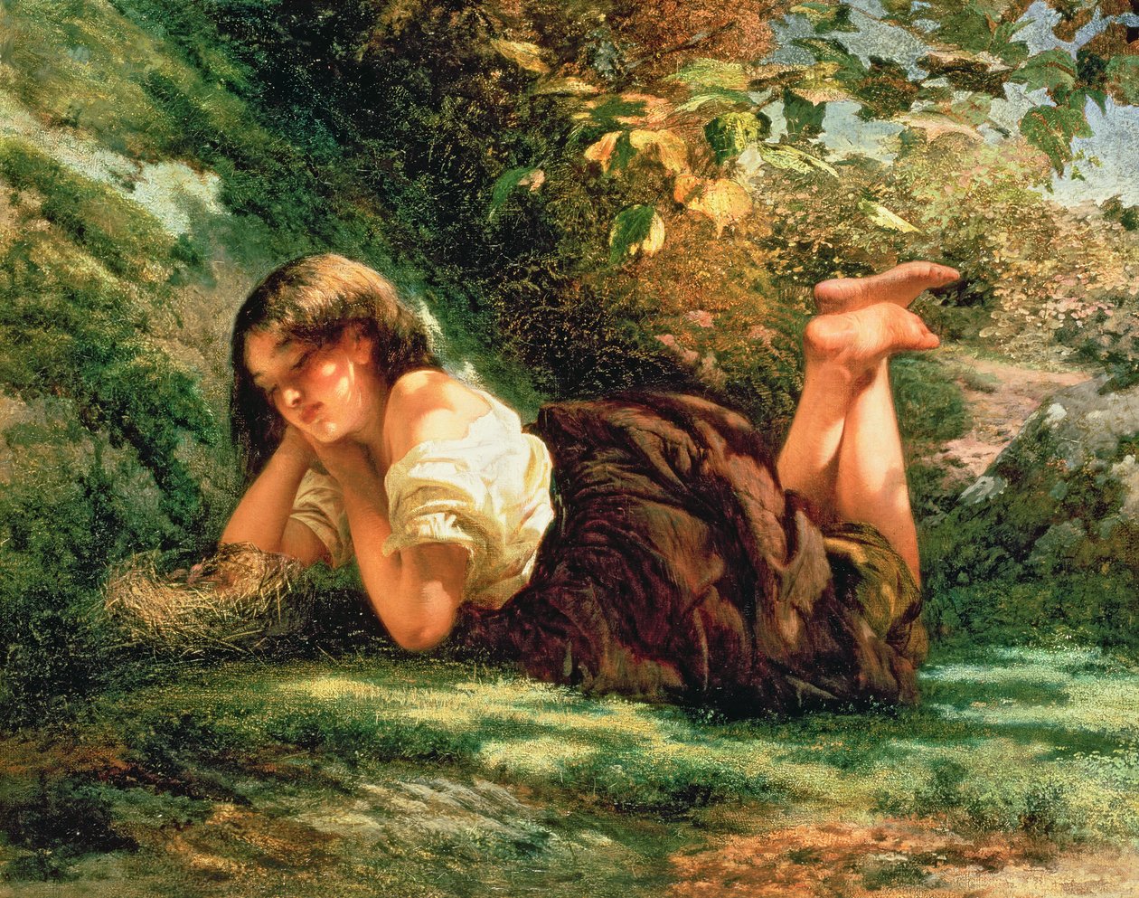 Il nido da Robert RSA Gavin