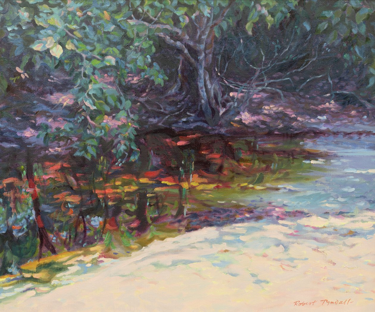 Spiaggia e foresta pluviale, Cape Tribulation, Queensland settentrionale, Australia da Robert Tyndall