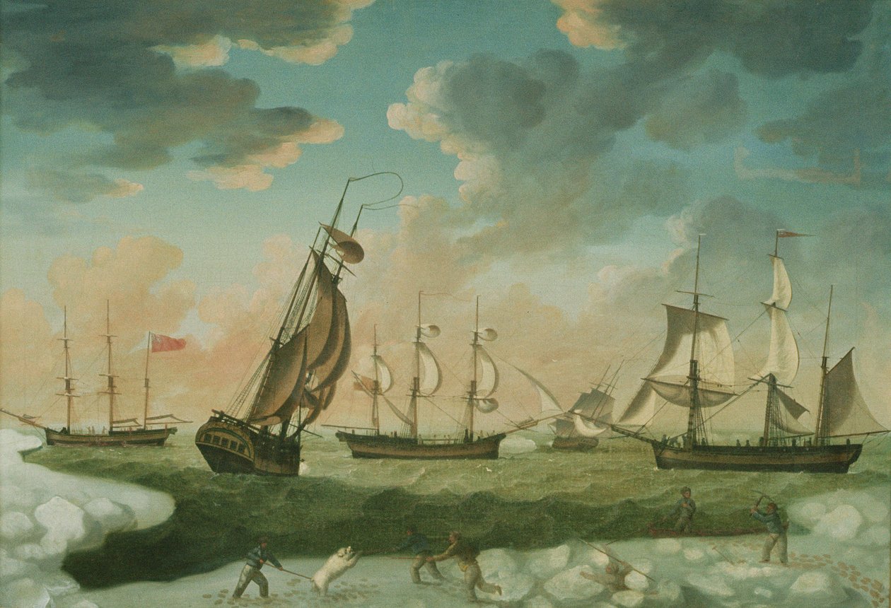 Scena artica da Robert Willoughby